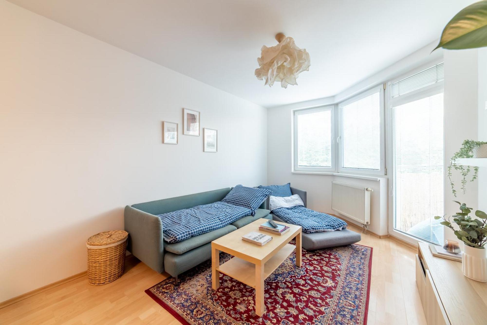 Grape Apartment براتسيلافا المظهر الخارجي الصورة