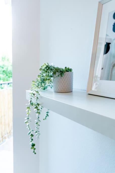 Grape Apartment براتسيلافا المظهر الخارجي الصورة