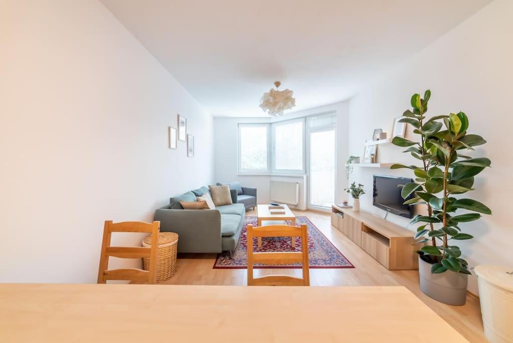 Grape Apartment براتسيلافا المظهر الخارجي الصورة