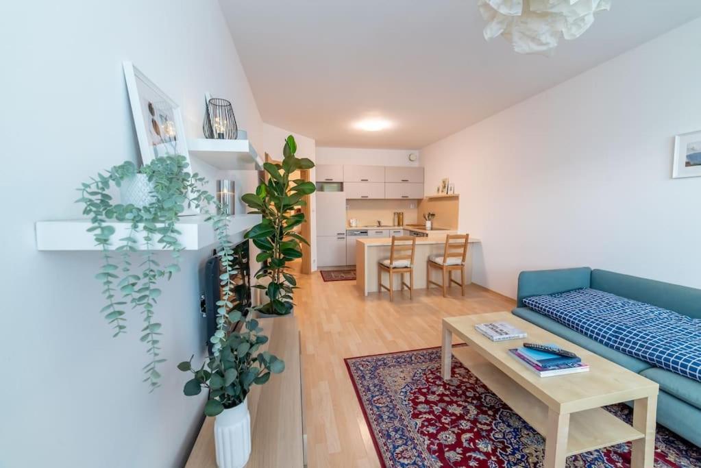Grape Apartment براتسيلافا المظهر الخارجي الصورة