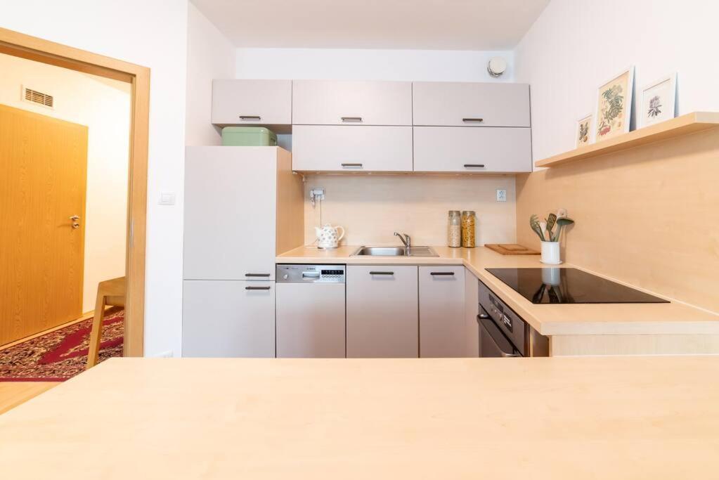 Grape Apartment براتسيلافا المظهر الخارجي الصورة