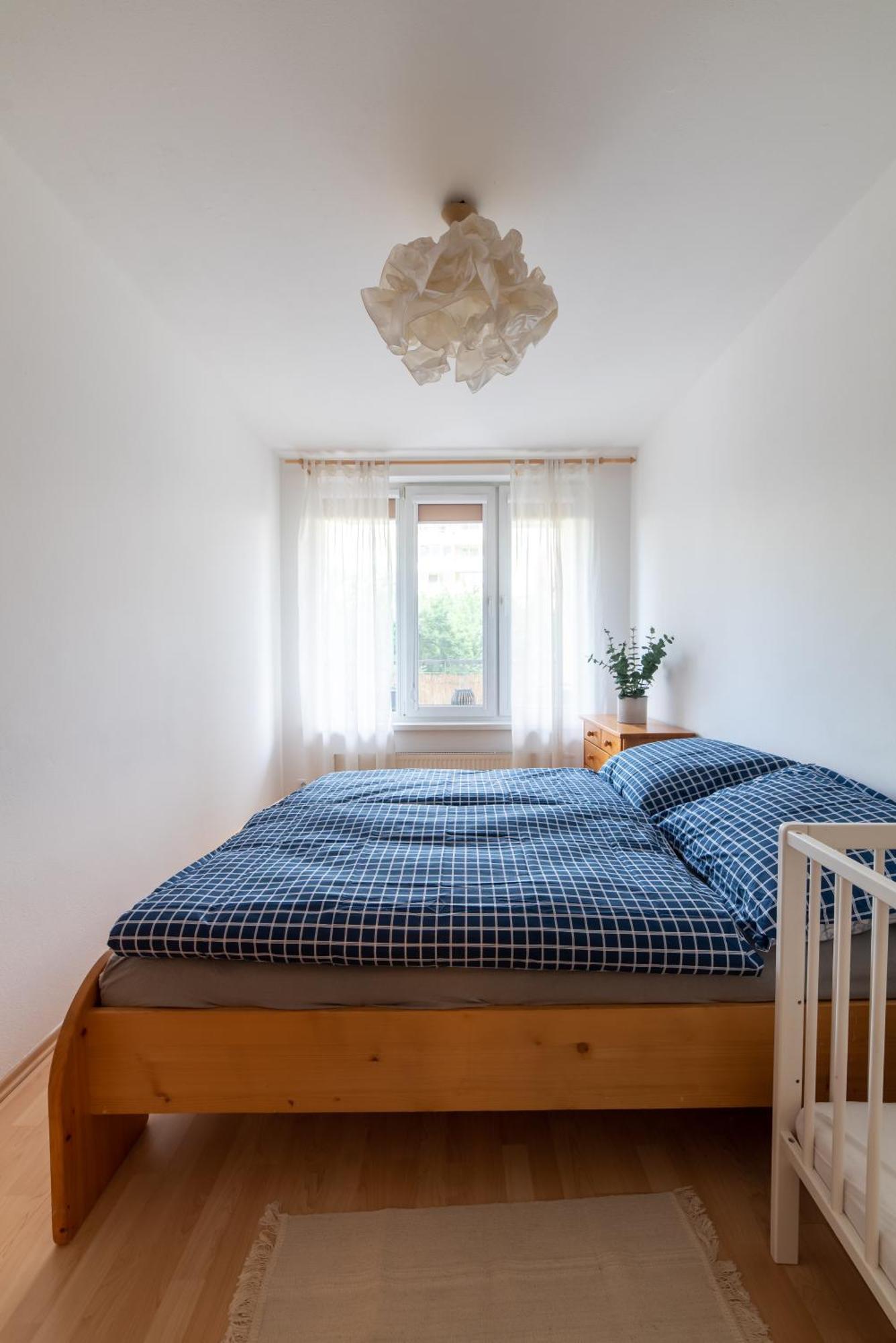 Grape Apartment براتسيلافا المظهر الخارجي الصورة
